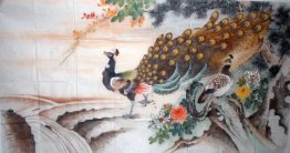 Peacock - Peinture chinoise