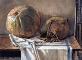 melon 1905  melon 1905