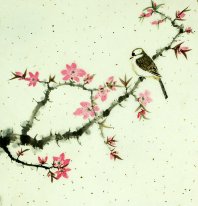 Birds&Flowers - Chinese Painting