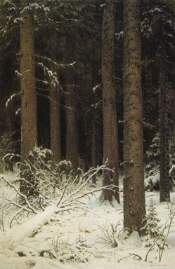 Forêt de sapins en hiver 1884