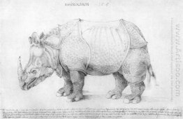 rhinoceros