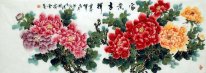 Peony - Chinese Painting