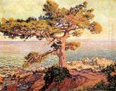 Pine par la mer Méditerranée 1916