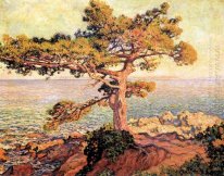 Pino By The Sea Mediterraneo 1916