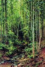 Forest Aspen 1896