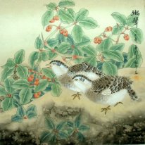 Aves - pintura china