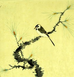 Birds&Flowers - Chinese Painting