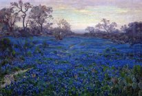 Bluebonnets at Twilight, near San Antonio