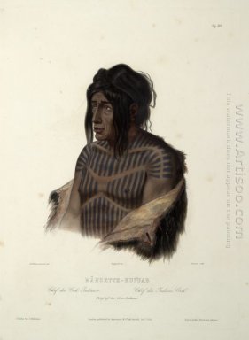 Mahsette-Kuiuab, capo degli indiani Cree, piastra 22 da volume