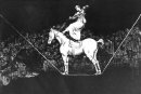 Ein Zirkus-Königin Rechtzeitige Absurdität 1823