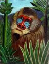 Mandrill dans la jungle 1909