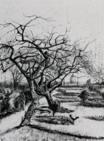 Parsonage Garden 1884 1