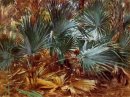 Palmettos 1917