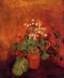 Flowers In A Pot On A Red Background