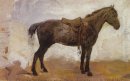 Caballo Mishka 1876