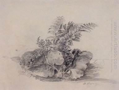 листья папоротника и лопуха 1854