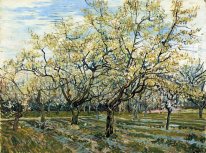 Frutteto con Fioritura Plum Trees 1888