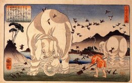 Thaishun With Elephants