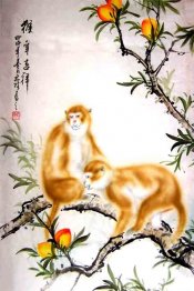 Monkey - Chinese Painting