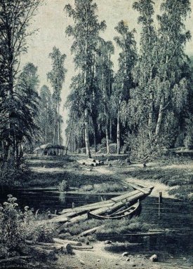 Forest River 1893