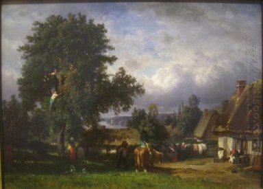 Apple Harvest in Normandy