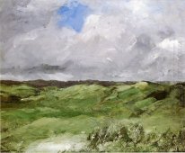 Grijze duinen