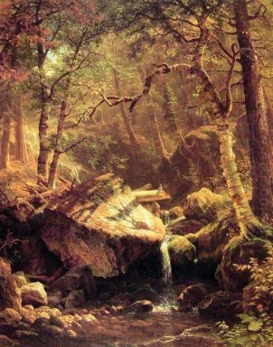 berget brook 1863