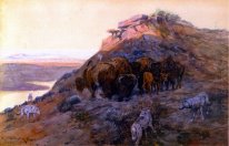 Buffalo Herd di Bay