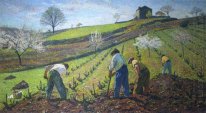 Cultivation of the Vines