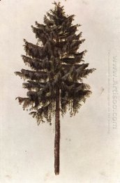 pine 1497