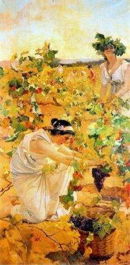 Grape Harvest 1896