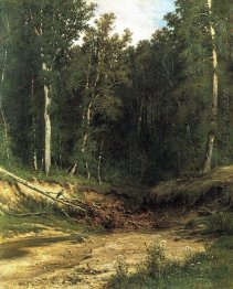 Forest Stream 1874