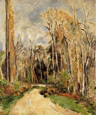 Percorso All\'ingresso di La Foresta 1879