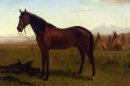 porträtt av en häst 1869