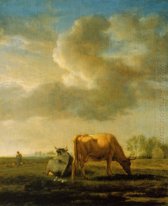 Les vaches sur une prairie