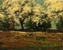 Blossoms 1883