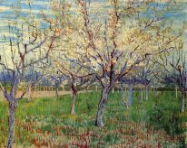 Orchard With Blossoming Apricot Trees 1888