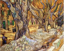 Large Plane Trees 1889