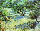 Olive Grove ciel bleu lumineux 1889