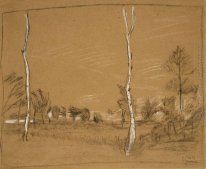 Landscape with birch trees