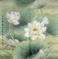 Lotus - Chinese Painting