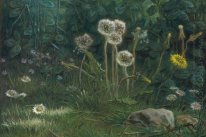 Dandelions 1868