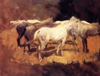 Horses At Palma 1908