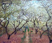 Orchard In Bloom