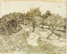 The Olive Trees 1888 The Olive Trees 1888