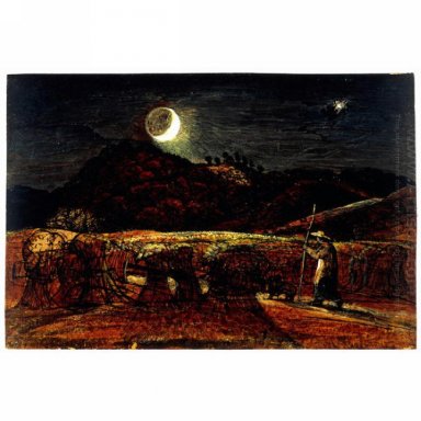 En Cornfield vid månsken med Aftonstjärnan