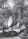 Na Margem de Uma Birch Grove Valaam 1860