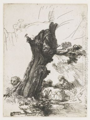 San Girolamo Accanto A Pollard Willow 1648