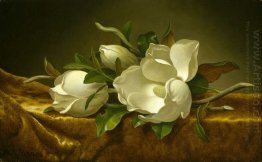 Magnolias on Gold Velvet Cloth