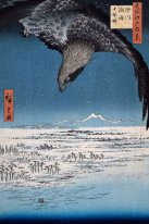 Eagle Over 100 000 Acre Plain At Susaki Fukagawa Juman Tsubo